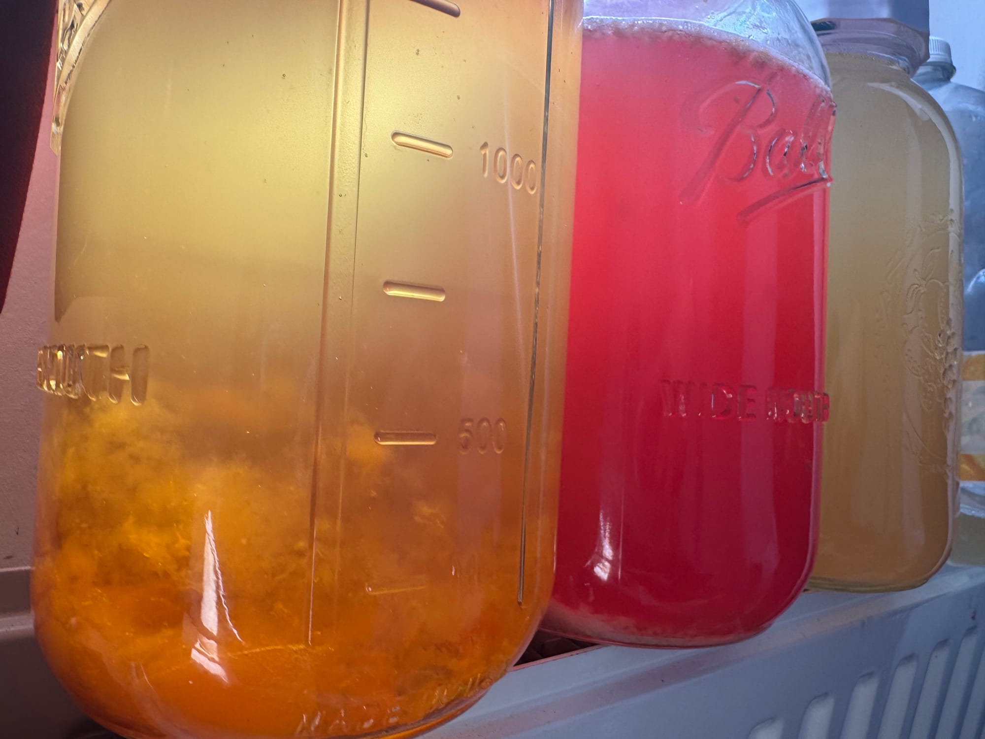 fermentation with limited resources